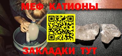 крисы Шелехов