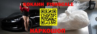 крисы Шелехов