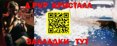 крисы Шелехов