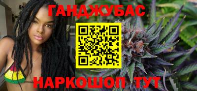 крисы Шелехов