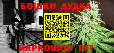 крисы Шелехов