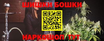 крисы Шелехов