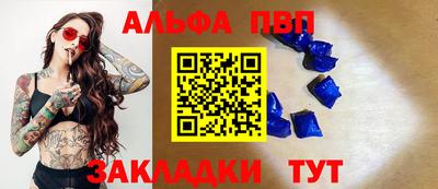 крисы Шелехов